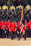Trooping the Colour 2011: The Ensign for the Colour, Lt. Tom Ogilvy, Scots Guards, is carrying the Colour through the ranks of the assembled guardsmen..
Horse Guards Parade, Westminster,
London SW1,
Greater London,
United Kingdom,
on 11 June 2011 at 11:26, image #212