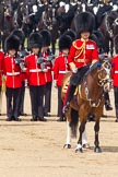 Trooping the Colour 2011: The Field Officer, Lieutenant Colonel Lincoln P M Jopp, observing the Trooping of the Colour..
Horse Guards Parade, Westminster,
London SW1,
Greater London,
United Kingdom,
on 11 June 2011 at 11:29, image #219