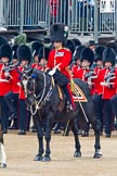 Trooping the Colour 2011: The Major of the Parade, Major Benedict Peter Norman Ramsay, Welsh Guards..
Horse Guards Parade, Westminster,
London SW1,
Greater London,
United Kingdom,
on 11 June 2011 at 11:33, image #228