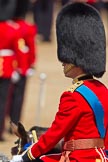 Trooping the Colour 2011: HRH Prince William, The Duke of Cambridge, during the March Past in slow time..
Horse Guards Parade, Westminster,
London SW1,
Greater London,
United Kingdom,
on 11 June 2011 at 11:38, image #245