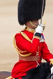 Trooping the Colour 2011: Close-up of The Field Officer, Lieutenant Colonel Lincoln P M Jopp..
Horse Guards Parade, Westminster,
London SW1,
Greater London,
United Kingdom,
on 11 June 2011 at 11:40, image #256