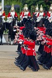 Trooping the Colour 2011: No. 3 Guard, F Company Scots Guards, during the March Past. In the background The Life Guards, Household Cavalry..
Horse Guards Parade, Westminster,
London SW1,
Greater London,
United Kingdom,
on 11 June 2011 at 11:43, image #272