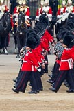 Trooping the Colour 2011: No. 3 Guard, F Company Scots Guards, during the March Past. In the background, The Life Guards from the Household Cavalry..
Horse Guards Parade, Westminster,
London SW1,
Greater London,
United Kingdom,
on 11 June 2011 at 11:43, image #274