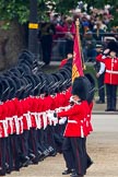 Trooping the Colour 2011: No. 1 Guard, the Escort to the Colour, during the March Past..
Horse Guards Parade, Westminster,
London SW1,
Greater London,
United Kingdom,
on 11 June 2011 at 11:43, image #276