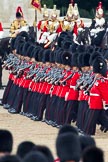 Trooping the Colour 2011: No. 5 Guard, 1st Battalion Welsh Guards, during the March Past. In the background, The Life Guards from the Household Cavalry, and on the left the Trumpeter and the Standard Bearer..
Horse Guards Parade, Westminster,
London SW1,
Greater London,
United Kingdom,
on 11 June 2011 at 11:44, image #283