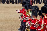 Trooping the Colour 2011: Musicians of the Band of the Grenadier Guards..
Horse Guards Parade, Westminster,
London SW1,
Greater London,
United Kingdom,
on 11 June 2011 at 11:52, image #309
