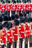 Trooping the Colour 2011: The Massed Bands - musicians of the Welsh Guards Band (in front) and of the Irish Guards Band..
Horse Guards Parade, Westminster,
London SW1,
Greater London,
United Kingdom,
on 11 June 2011 at 11:53, image #313