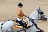 Trooping the Colour 2011: Jack Hargreaves, Head Coachman, riding one of the two Winsor Grey horses that pull the ivory mounted phaeton..
Horse Guards Parade, Westminster,
London SW1,
Greater London,
United Kingdom,
on 11 June 2011 at 12:10, image #413