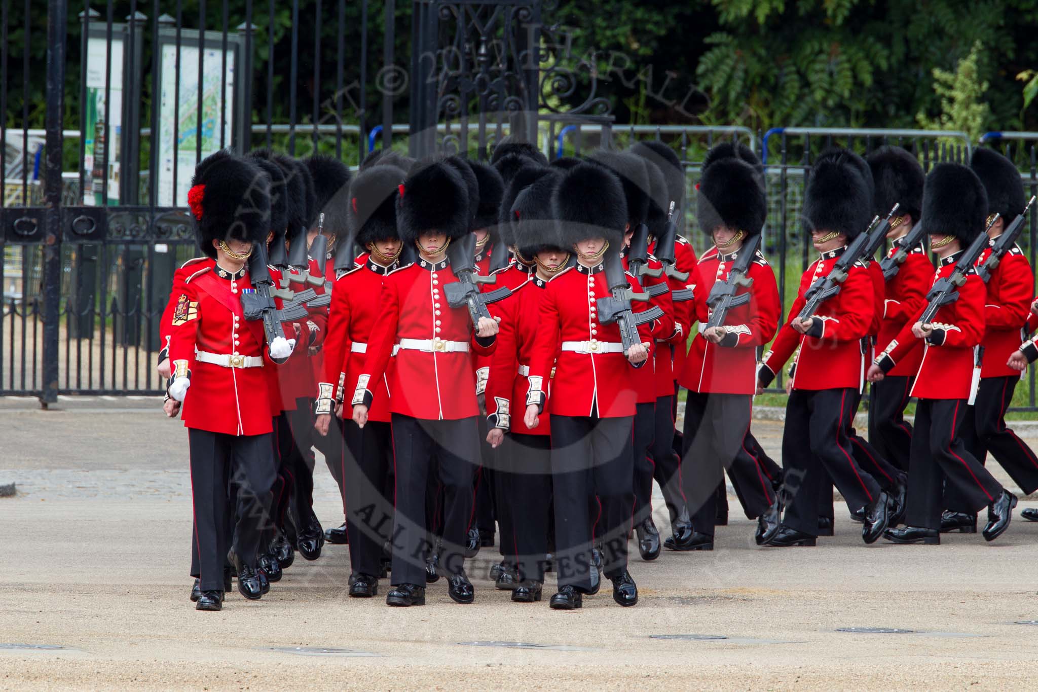 The Colonel's Review 2012: No. 3 Guard (No. 7 Company, Coldstream Guards)..
Horse Guards Parade, Westminster,
London SW1,

United Kingdom,
on 09 June 2012 at 10:26, image #64