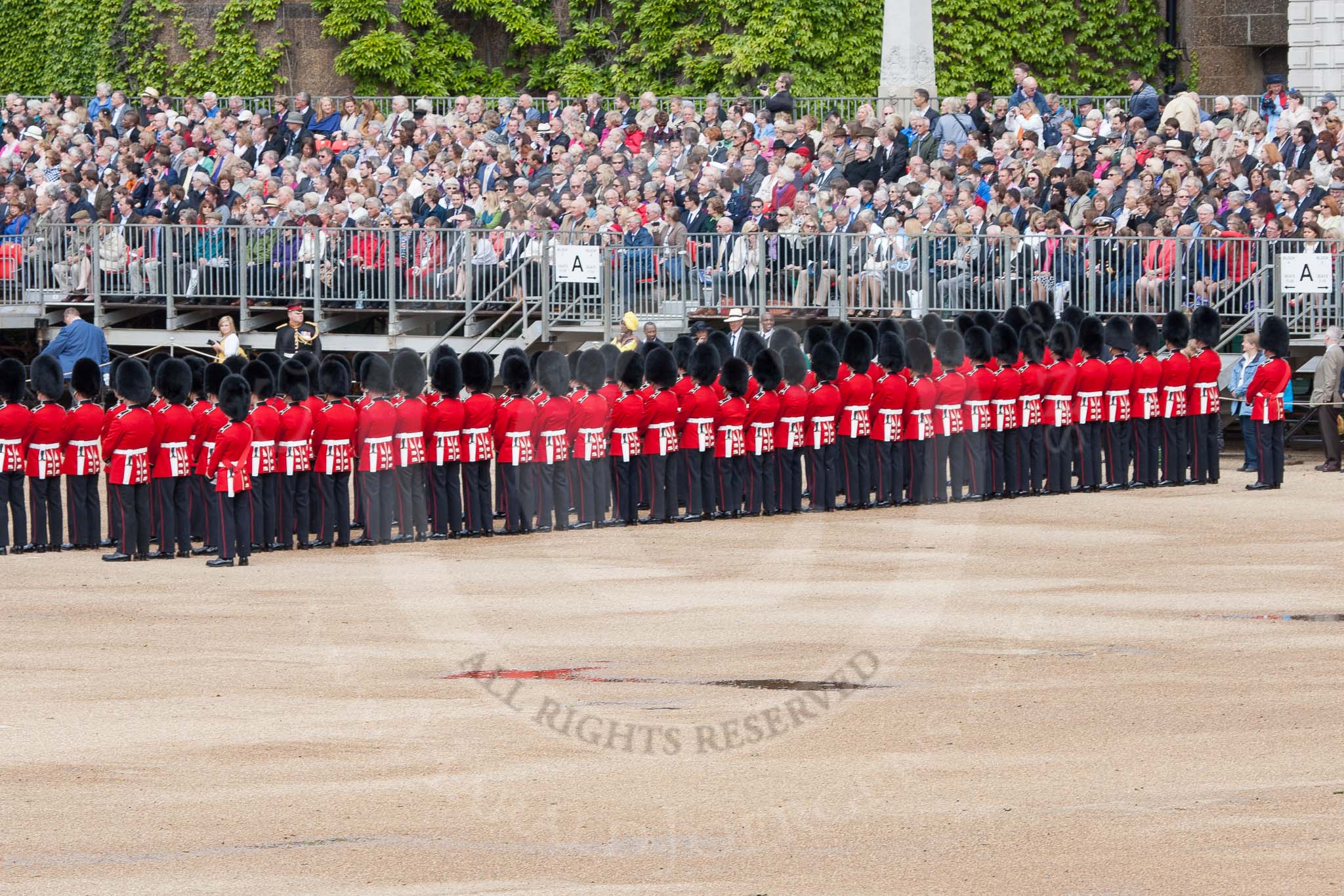 The Colonel's Review 2012: No. 6 guard (F Company Scots Guards)..
Horse Guards Parade, Westminster,
London SW1,

United Kingdom,
on 09 June 2012 at 10:28, image #68