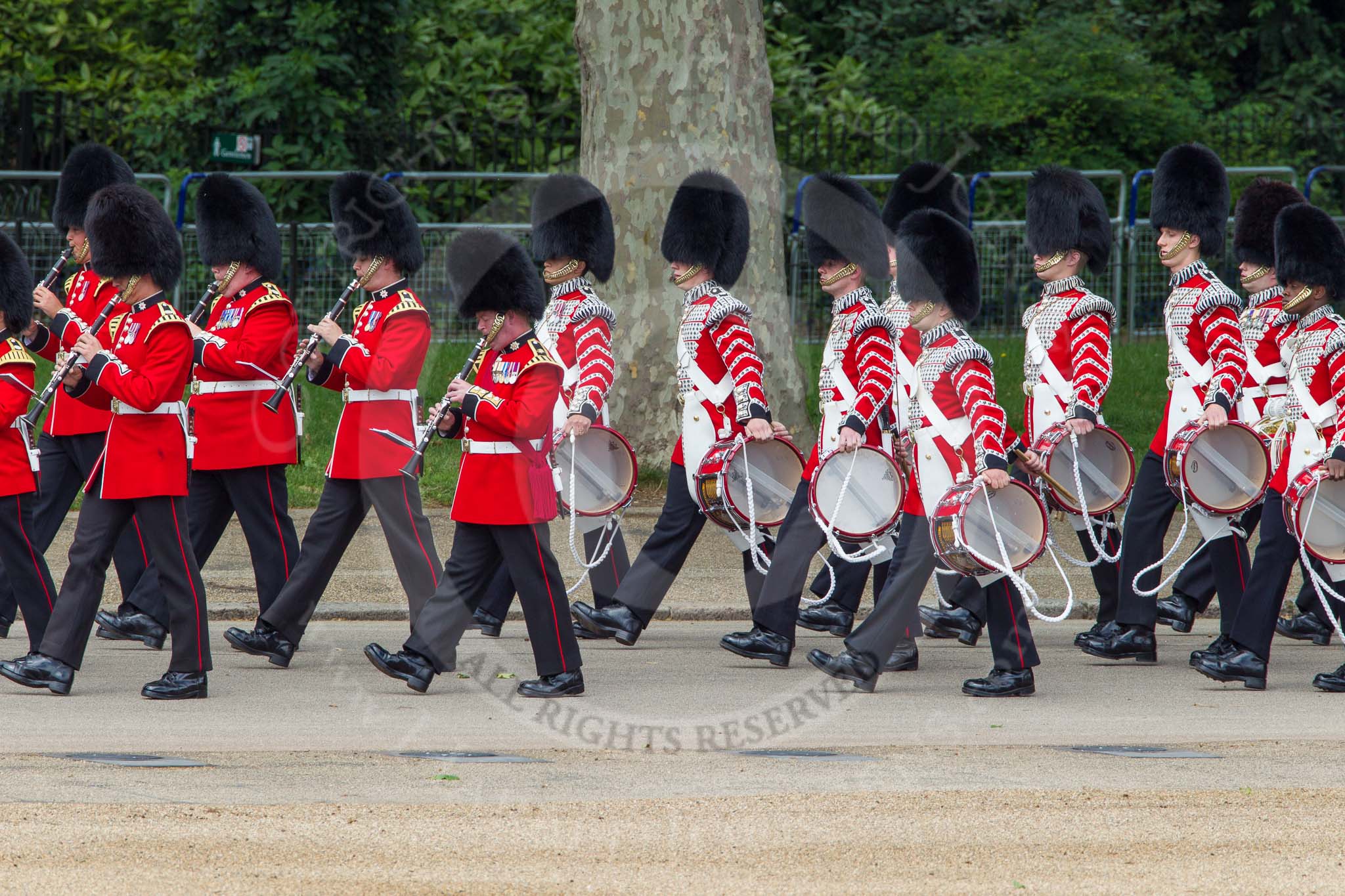 The Colonel's Review 2012: The Band of the Coldstream Guards, marching along the Northern line of Horse Guards Parade, along St James's Park..
Horse Guards Parade, Westminster,
London SW1,

United Kingdom,
on 09 June 2012 at 10:29, image #74