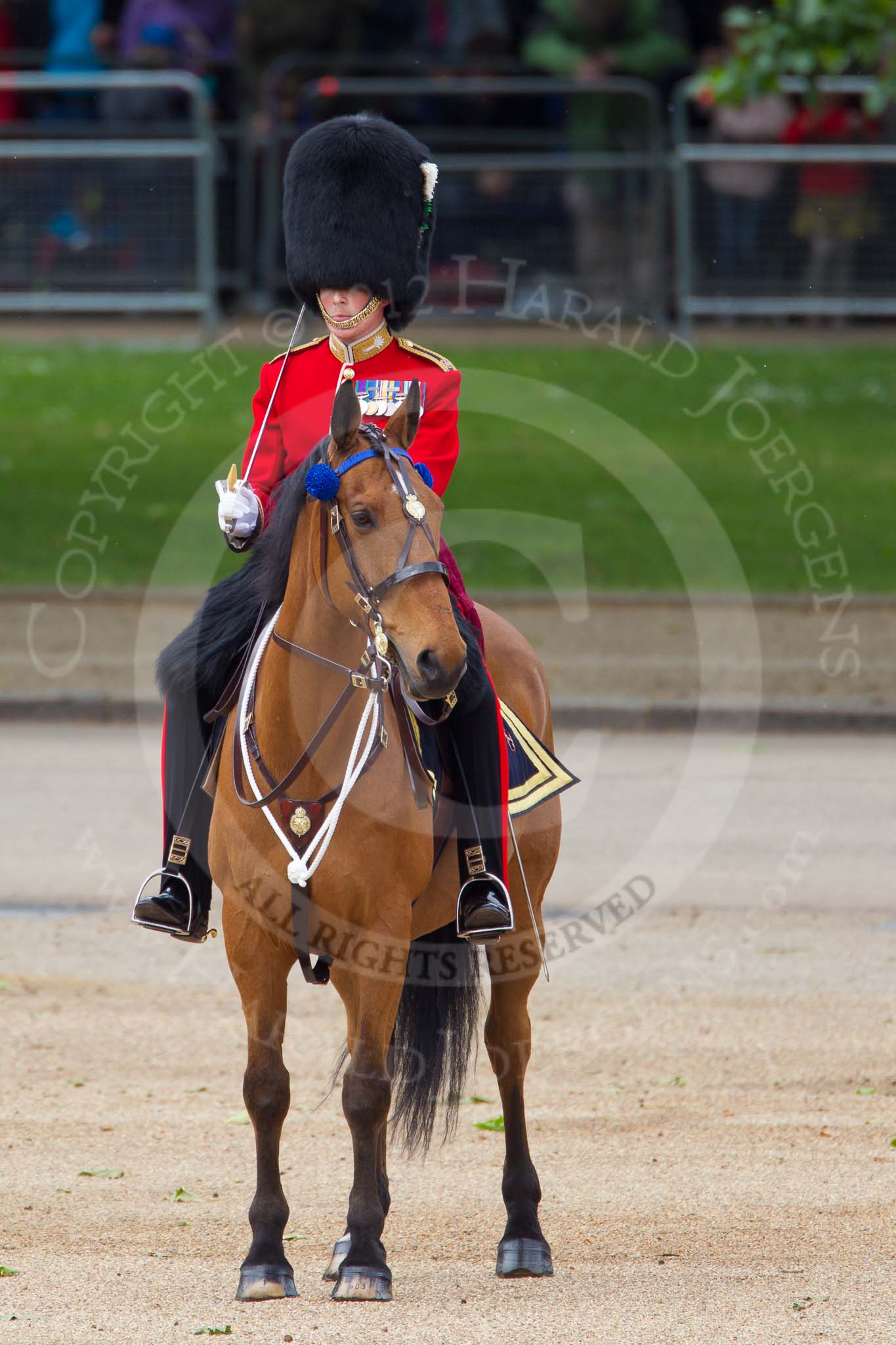 The Colonel's Review 2012: Major of the Parade, Major Mark Lewis, Welsh Guards..
Horse Guards Parade, Westminster,
London SW1,

United Kingdom,
on 09 June 2012 at 10:44, image #115