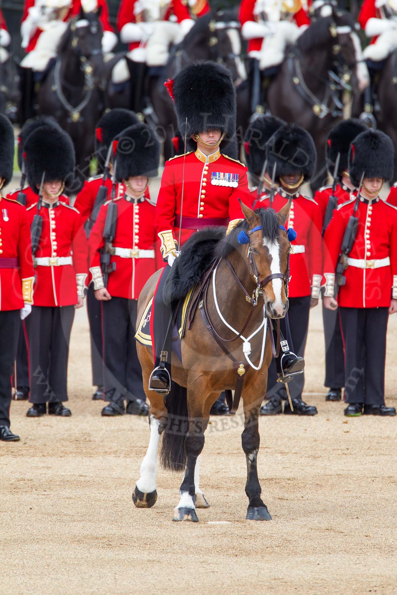 The Colonel's Review 2012: Adjutant of the Parade, Captain F O B Wells, Coldstream Guards..
Horse Guards Parade, Westminster,
London SW1,

United Kingdom,
on 09 June 2012 at 11:09, image #222