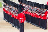 The Colonel's Review 2012: A Colour Sergeant of the Coldstream Guards inspecting the lines of guardsmen..
Horse Guards Parade, Westminster,
London SW1,

United Kingdom,
on 09 June 2012 at 10:31, image #84