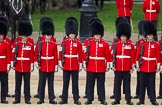 The Colonel's Review 2012: No. 2 Guard, 1st Battalion Coldstream Guards..
Horse Guards Parade, Westminster,
London SW1,

United Kingdom,
on 09 June 2012 at 10:41, image #107