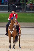 The Colonel's Review 2012: Major of the Parade, Major Mark Lewis, Welsh Guards..
Horse Guards Parade, Westminster,
London SW1,

United Kingdom,
on 09 June 2012 at 10:44, image #115