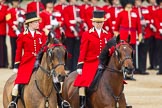 The Colonel's Review 2012: The arrival of the first members of the Royal family. leading the way two Liveried Grooms from the Royal Mews..
Horse Guards Parade, Westminster,
London SW1,

United Kingdom,
on 09 June 2012 at 10:49, image #120