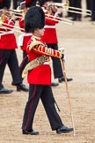 The Colonel's Review 2012: Senior Drum Major, M Betts, Grenadier Guards..
Horse Guards Parade, Westminster,
London SW1,

United Kingdom,
on 09 June 2012 at 11:06, image #205