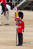 The Colonel's Review 2012: The Colour Sergeant with the Coldstream Guards Colour..
Horse Guards Parade, Westminster,
London SW1,

United Kingdom,
on 09 June 2012 at 11:07, image #214