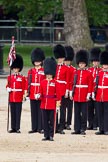 The Colonel's Review 2012: No. 1 Guard (Escort for the Colour) 1st Battalion Coldstream Guards, in front Captain R M Crook..
Horse Guards Parade, Westminster,
London SW1,

United Kingdom,
on 09 June 2012 at 11:09, image #224