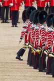 The Colonel's Review 2012: The "lone drummer" passing the line of drummers on his march towards the Colour..
Horse Guards Parade, Westminster,
London SW1,

United Kingdom,
on 09 June 2012 at 11:13, image #247