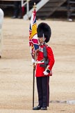 The Colonel's Review 2012: The Colour Sergeant, ready to hand the Colour over to No. 1 Guard..
Horse Guards Parade, Westminster,
London SW1,

United Kingdom,
on 09 June 2012 at 11:16, image #259