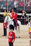 The Colonel's Review 2012: The Adjutant of the Parade, Captain F O B Wells, Coldstream Guards..
Horse Guards Parade, Westminster,
London SW1,

United Kingdom,
on 09 June 2012 at 11:16, image #261