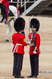 The Colonel's Review 2012: The Collection of the Colour - the Clour has just been handed over..
Horse Guards Parade, Westminster,
London SW1,

United Kingdom,
on 09 June 2012 at 11:17, image #267