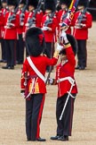 The Colonel's Review 2012.
Horse Guards Parade, Westminster,
London SW1,

United Kingdom,
on 09 June 2012 at 11:18, image #270