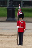 The Colonel's Review 2012: Patiently waiting as well - the Keeper of the Ground for No. 1 Guard..
Horse Guards Parade, Westminster,
London SW1,

United Kingdom,
on 09 June 2012 at 11:21, image #286