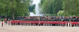 The Colonel's Review 2012: No. 1 Guard, the Escort to the Colour, presenting arms. In the background, behind The King's Troop Royal Horse Artillery, St James's Park..
Horse Guards Parade, Westminster,
London SW1,

United Kingdom,
on 09 June 2012 at 11:26, image #295