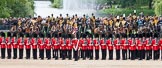 The Colonel's Review 2012: No. 1 Guard, the Escort to the Colour, presenting arms. In the background, behind The King's Troop Royal Horse Artillery, St James's Park..
Horse Guards Parade, Westminster,
London SW1,

United Kingdom,
on 09 June 2012 at 11:26, image #296