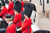 The Colonel's Review 2012: Lieutenant Colonel J B O’Gorman, Irish Guards, and Major E M Crofton, Coldstream Guards..
Horse Guards Parade, Westminster,
London SW1,

United Kingdom,
on 09 June 2012 at 11:27, image #298