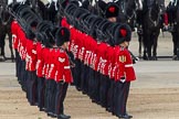 The Colonel's Review 2012: Preparing for the March Past by the Foot Guards..
Horse Guards Parade, Westminster,
London SW1,

United Kingdom,
on 09 June 2012 at 11:28, image #299