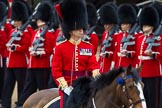 The Colonel's Review 2012: Field Officer in Brigade Waiting, Lieutenant Colonel R C N Sergeant, Coldstream Guards, riding Burniston..
Horse Guards Parade, Westminster,
London SW1,

United Kingdom,
on 09 June 2012 at 11:31, image #311