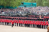 The Colonel's Review 2012: During the March Past. In front No. 1 Guard with the Colour..
Horse Guards Parade, Westminster,
London SW1,

United Kingdom,
on 09 June 2012 at 11:32, image #313