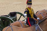 The Colonel's Review 2012: A ceremonial gunner on one of the six horses that pull a 13-pounder gum, saluting with the whip..
Horse Guards Parade, Westminster,
London SW1,

United Kingdom,
on 09 June 2012 at 11:52, image #401
