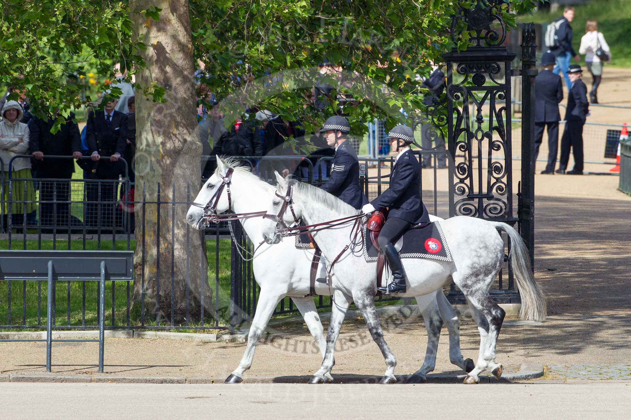 Trooping the Colour 2012: Metropolitan Police on Horseback riding along the St. James's Park side of Horse Guards Parade..
Horse Guards Parade, Westminster,
London SW1,

United Kingdom,
on 16 June 2012 at 09:45, image #7