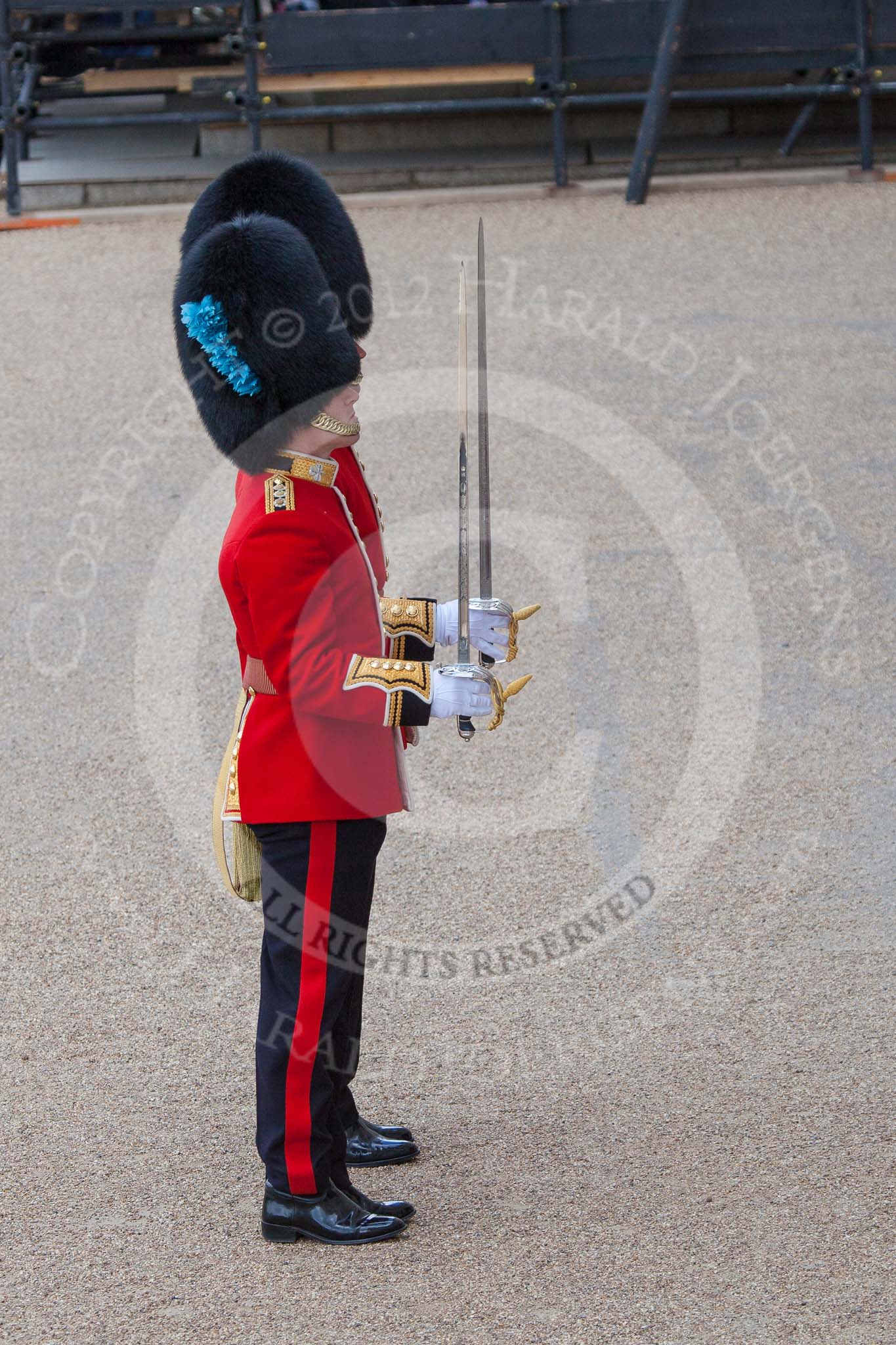 Trooping the Colour 2012: A closer look at Subaltern and Ensign of No. 5 Guard, 1st Battalion Irish Guards..
Horse Guards Parade, Westminster,
London SW1,

United Kingdom,
on 16 June 2012 at 10:29, image #65