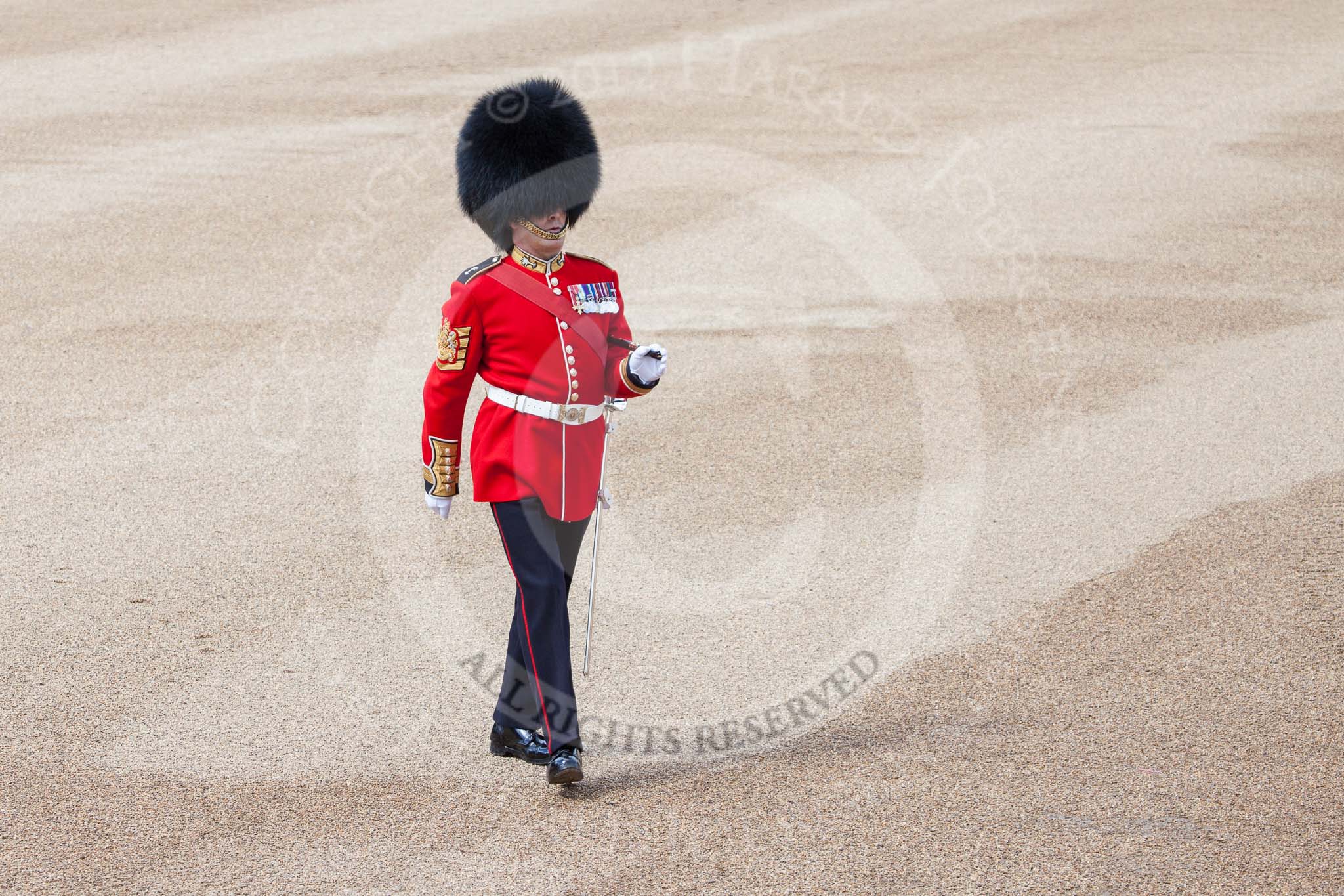 Trooping the Colour 2012: Garrison Sergeant Major, London District, Warrant Officer Class 1 W D G Mott, Welsh Guards..
Horse Guards Parade, Westminster,
London SW1,

United Kingdom,
on 16 June 2012 at 10:32, image #76