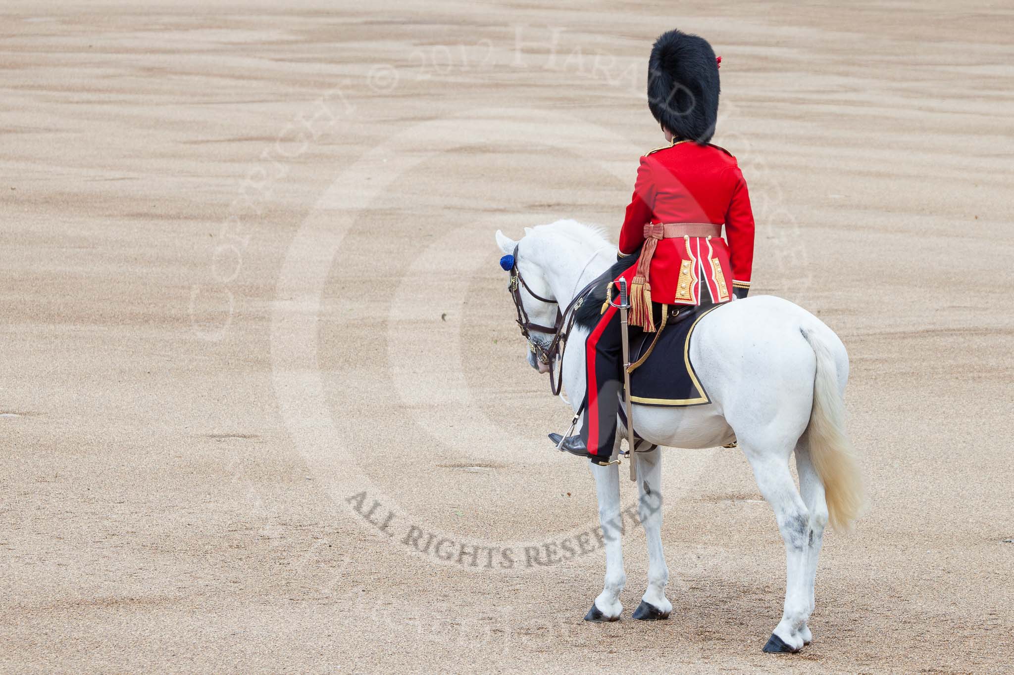 Trooping the Colour 2012: The Adjutant of the Parade, Captain F O B Wells, Coldstream Guards..
Horse Guards Parade, Westminster,
London SW1,

United Kingdom,
on 16 June 2012 at 10:34, image #83