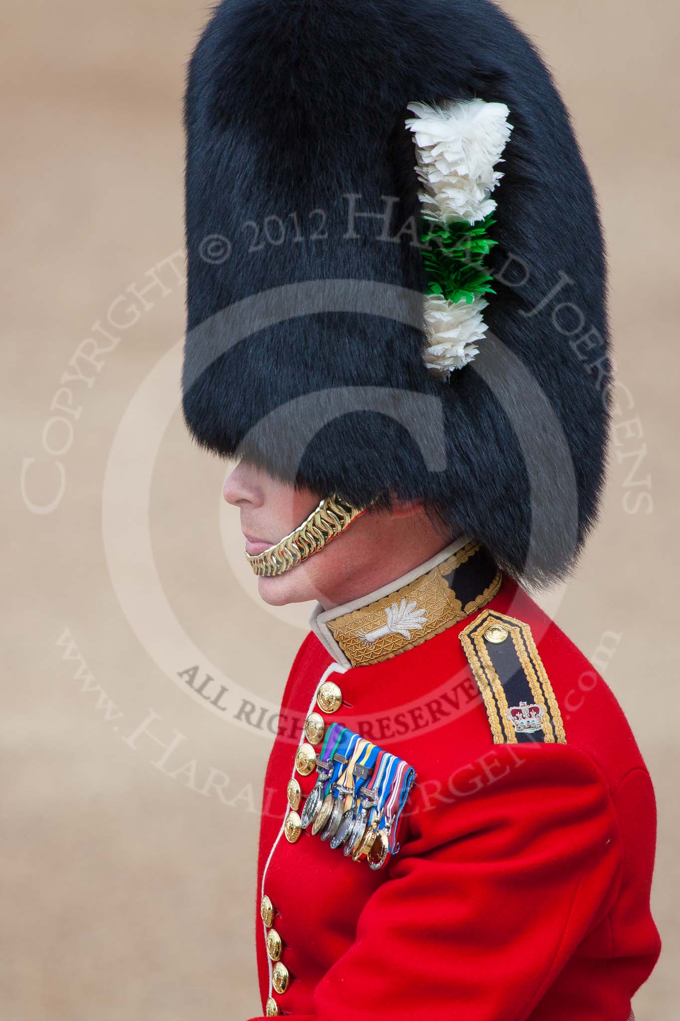 Trooping the Colour 2012: A close-up of the Major of the Parade, Major Mark Lewis, Welsh Guards..
Horse Guards Parade, Westminster,
London SW1,

United Kingdom,
on 16 June 2012 at 10:37, image #95
