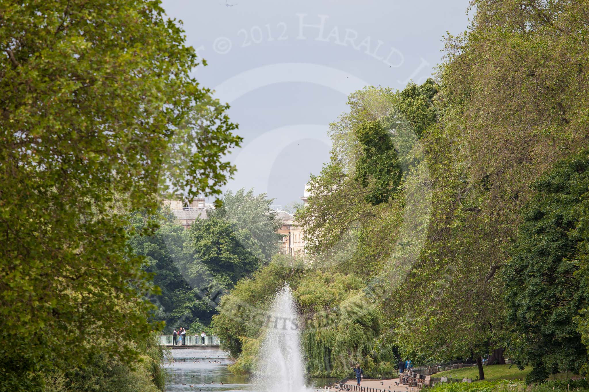 Trooping the Colour 2012: A closer look at Buckingham Palace seen through St. James's Park..
Horse Guards Parade, Westminster,
London SW1,

United Kingdom,
on 16 June 2012 at 10:43, image #105