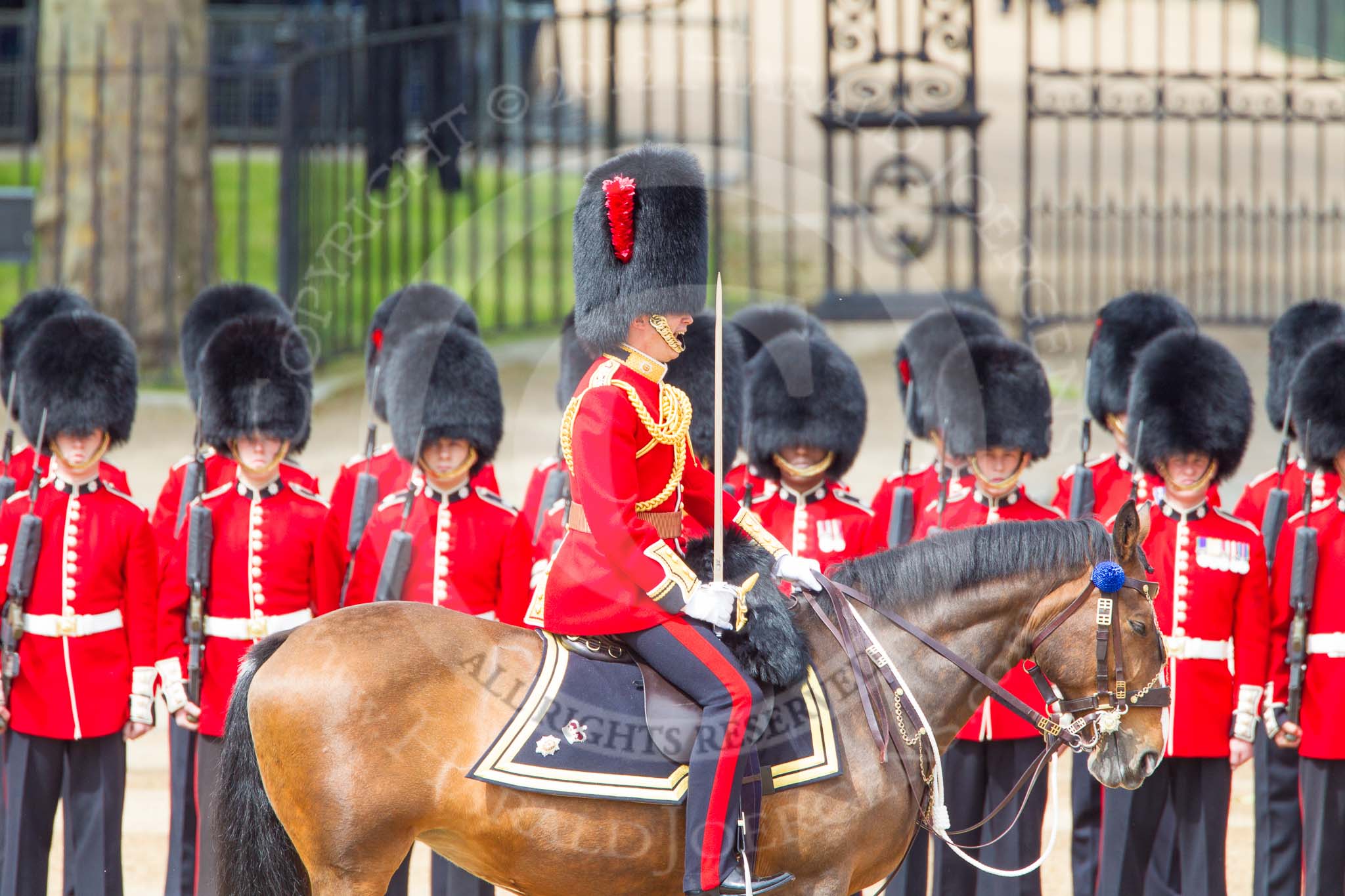 Photo 1206161044401D42812HaraldJoergens Trooping the Colour 2012: The Field Officer in Brigade Waiting, Lieutenant Colonel R C N Sergeant, Coldstream Guards, in front of No. 3 Guard, preparing for the arrival of the first carriages..
Horse Guards Parade, Westminster,
London SW1,
United Kingdom,
on 16 June 2012 at 10:44, image #106