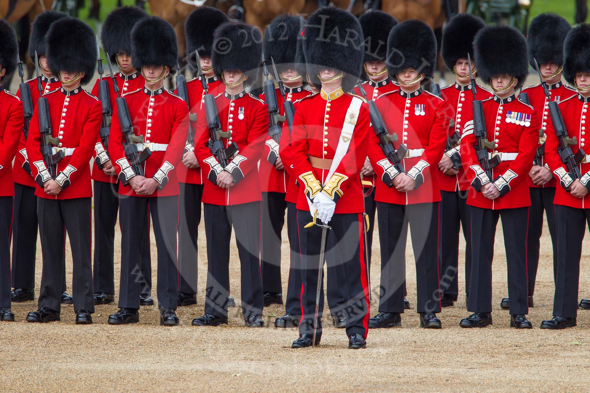 Trooping the Colour 2012: A first look at the Ensign, 2nd Lieutenant Hugo Codrington, with No. 1 Guard (Escort for the Colour), 1st Battalion Coldstream Guards..
Horse Guards Parade, Westminster,
London SW1,

United Kingdom,
on 16 June 2012 at 10:47, image #109