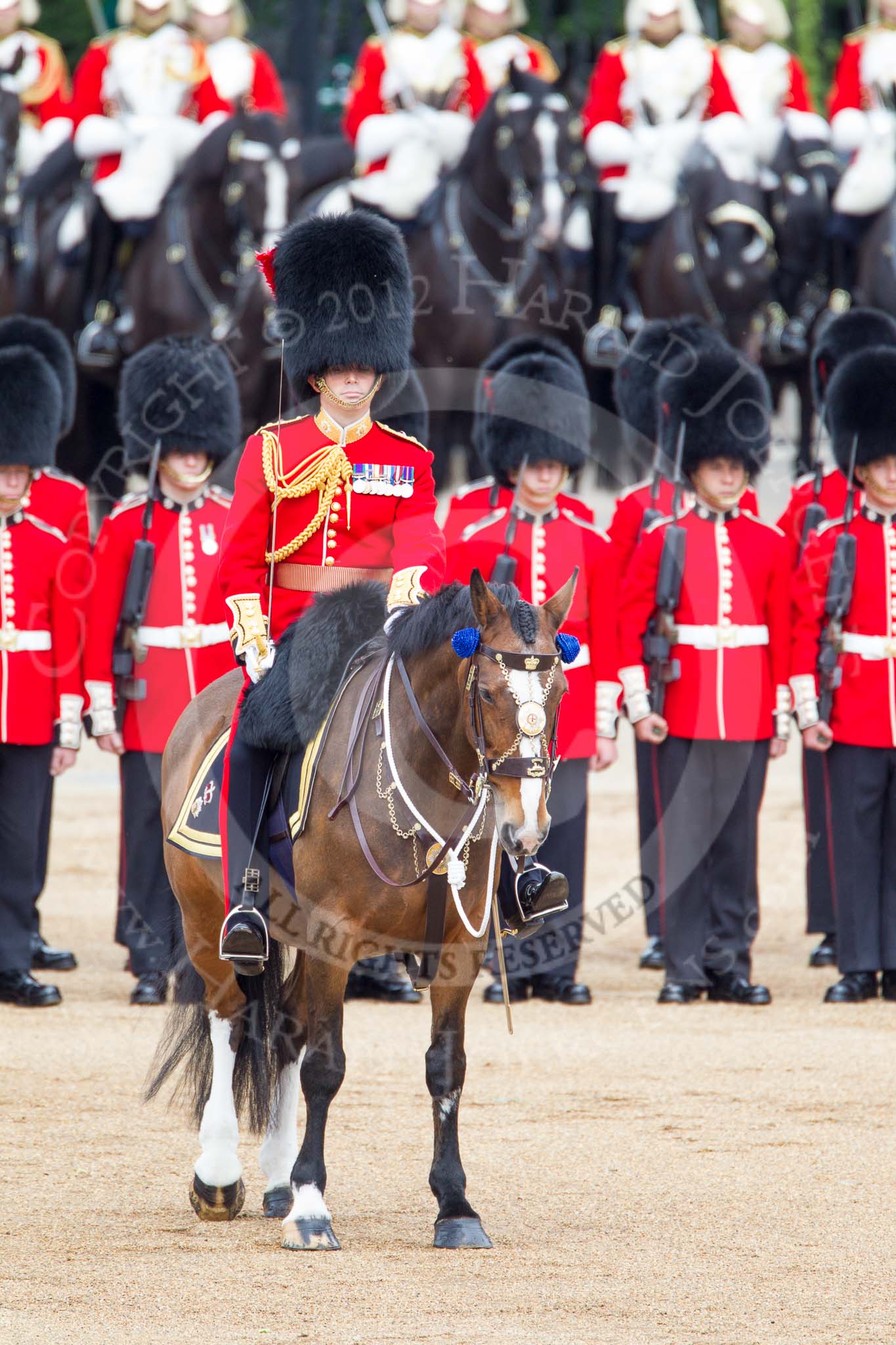 Trooping the Colour 2012: The Field Officer in Brigade Waiting, Lieutenant Colonel R C N Sergeant, Coldstream Guards, on Burniston during the Massed Bands Troop..
Horse Guards Parade, Westminster,
London SW1,

United Kingdom,
on 16 June 2012 at 11:14, image #279