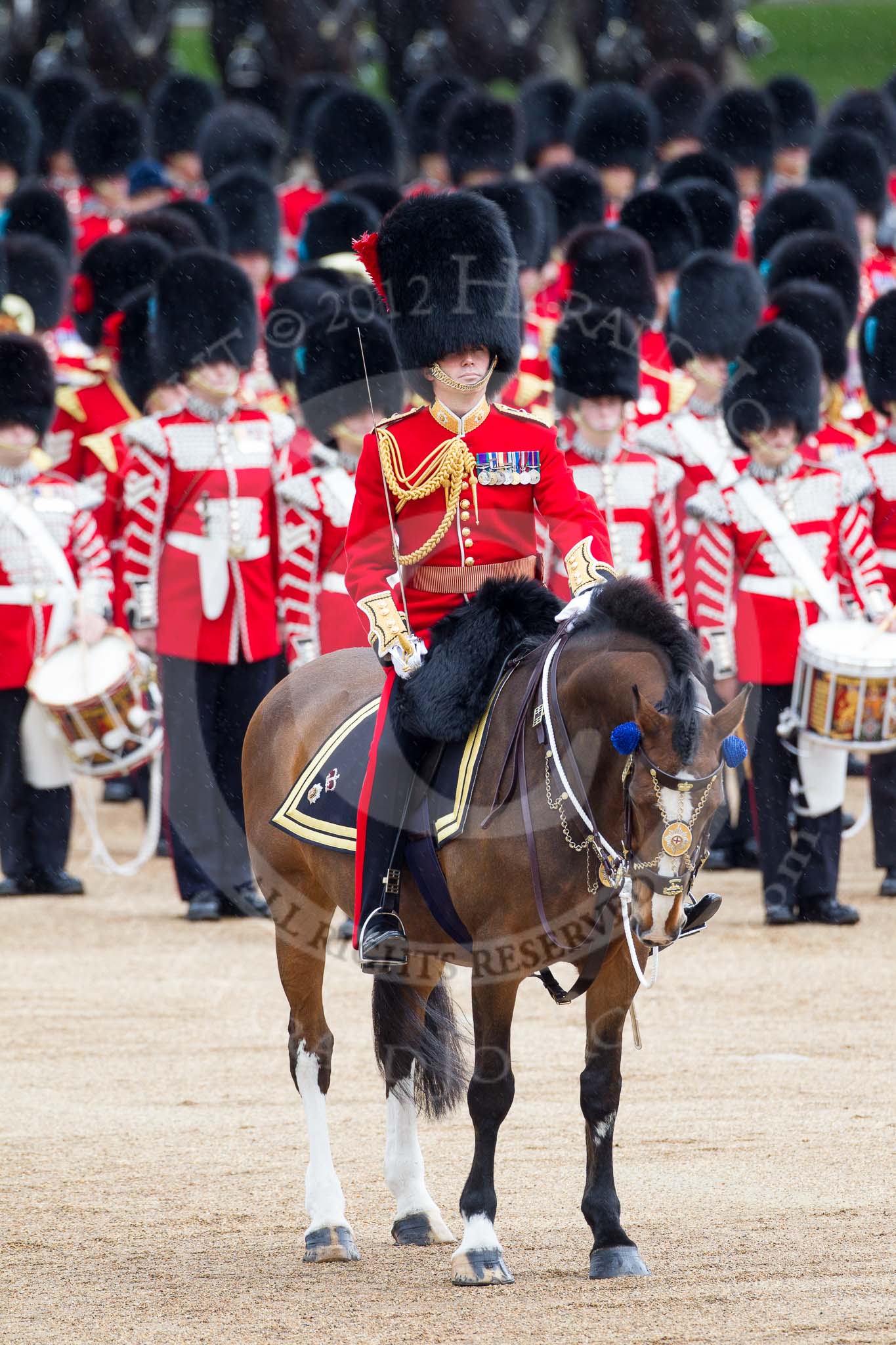 Trooping the Colour 2012: A very detailed view of the Field Officer in Brigade Waiting, Lieutenant Colonel R C N Sergeant, Coldstream Guards, on Burniston, despite the short sharp shower visible at full scale..
Horse Guards Parade, Westminster,
London SW1,

United Kingdom,
on 16 June 2012 at 11:20, image #303