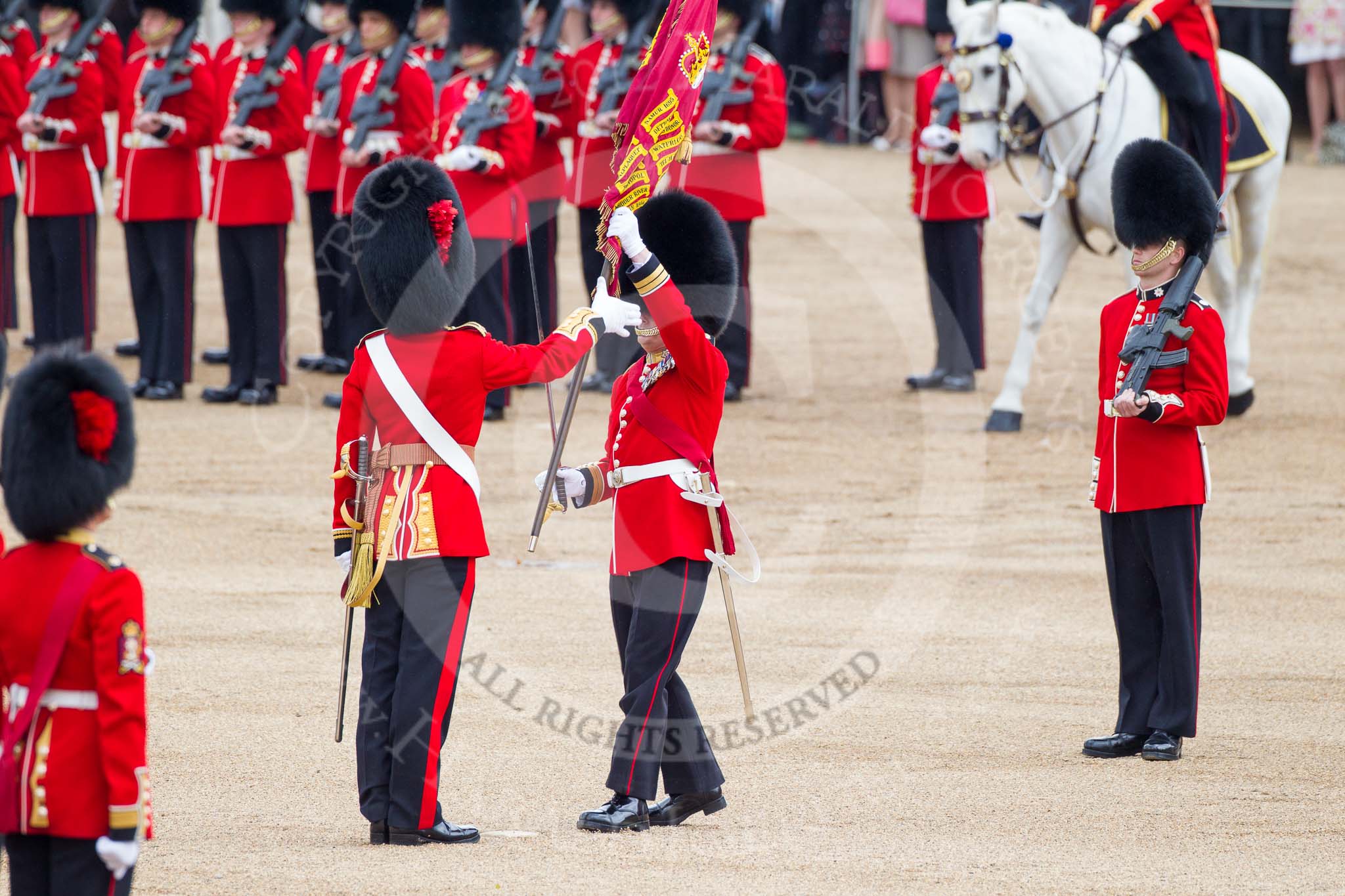 Trooping the Colour 2012: The Regimental Sergeant Major of No. 1 Guard, the Escort for the Colour, steps forward to hand the the Colour to the Ensign..
Horse Guards Parade, Westminster,
London SW1,

United Kingdom,
on 16 June 2012 at 11:21, image #307