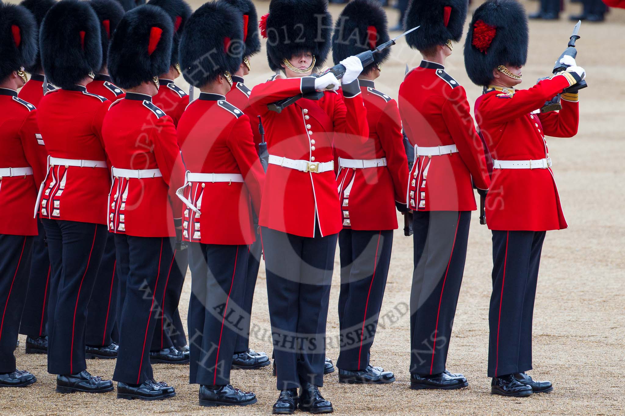 Trooping the Colour 2012: No. 1 Guard, now the Escort to the Colour..
Horse Guards Parade, Westminster,
London SW1,

United Kingdom,
on 16 June 2012 at 11:22, image #313