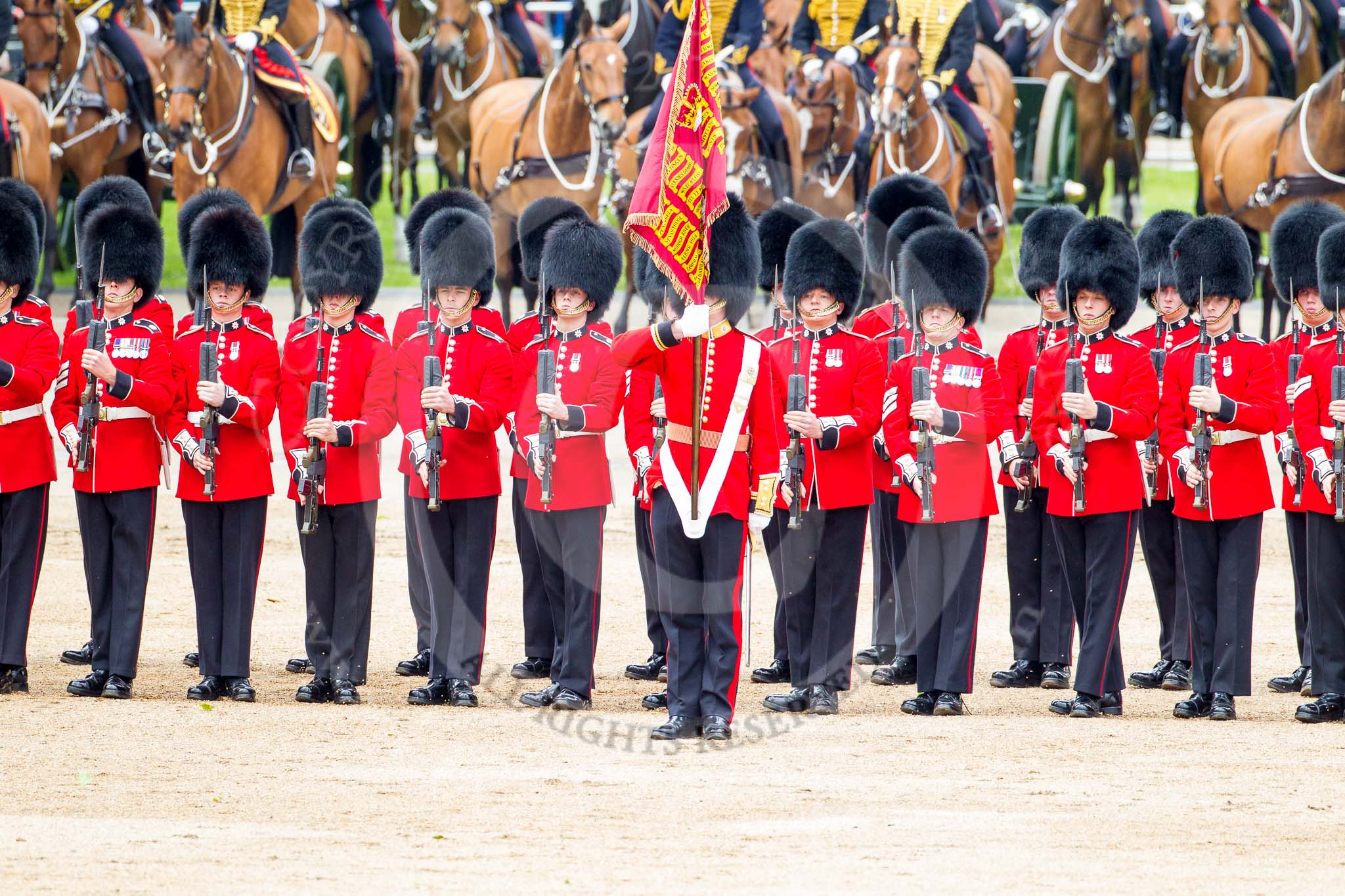 Trooping the Colour 2012: No. 1 Guard, the Escort to the Colour, presening arms, with the Ensign, Second Lieutenant Hugo Codrington, holding the Colour, in front..
Horse Guards Parade, Westminster,
London SW1,

United Kingdom,
on 16 June 2012 at 11:29, image #360